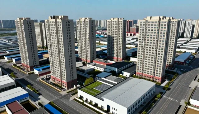 商务代理场景下的信息咨询价值与实践路径